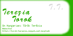 terezia torok business card